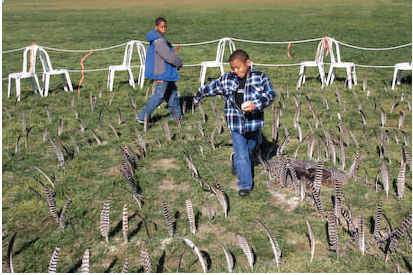 Children waking the Labyrinth